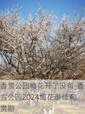 香雪公园梅花开了没有-香雪公园2024梅花最佳观赏期