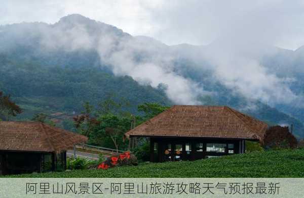 阿里山风景区-阿里山旅游攻略天气预报最新