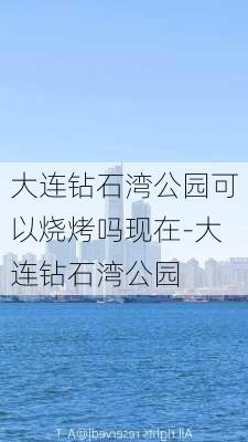 大连钻石湾公园可以烧烤吗现在-大连钻石湾公园