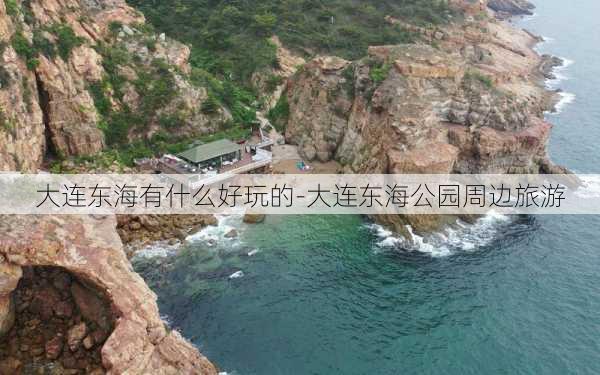 大连东海有什么好玩的-大连东海公园周边旅游