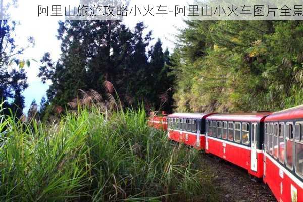 阿里山旅游攻略小火车-阿里山小火车图片全景