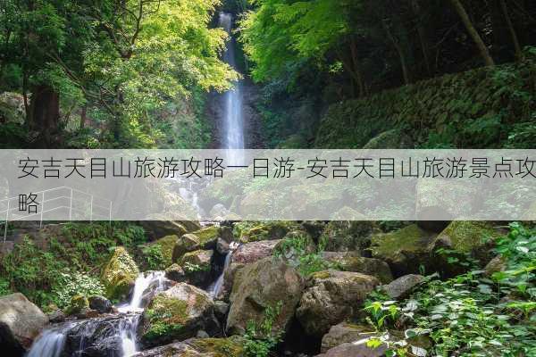 安吉天目山旅游攻略一日游-安吉天目山旅游景点攻略