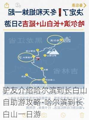 驴友介绍哈尔滨到长白山自助游攻略-哈尔滨到长白山一日游