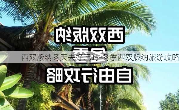 西双版纳冬天去好玩吗-冬季西双版纳旅游攻略