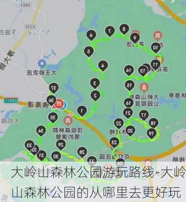 大岭山森林公园游玩路线-大岭山森林公园的从哪里去更好玩