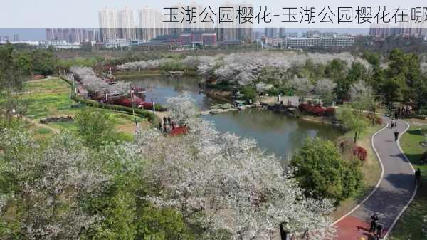 玉湖公园樱花-玉湖公园樱花在哪