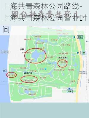 上海共青森林公园路线-上海共青森林公园营业时间