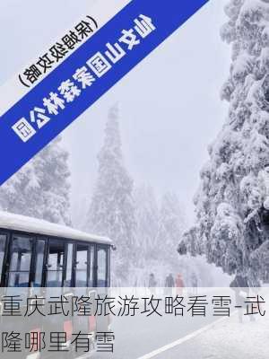 重庆武隆旅游攻略看雪-武隆哪里有雪