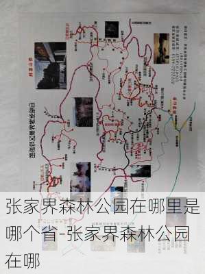 张家界森林公园在哪里是哪个省-张家界森林公园在哪