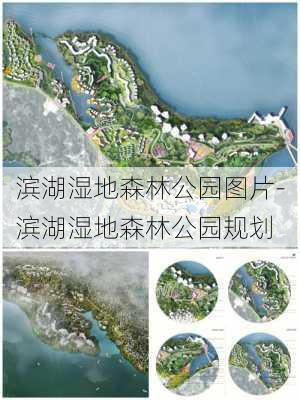 滨湖湿地森林公园图片-滨湖湿地森林公园规划