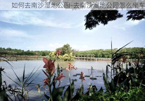 如何去南沙湿地公园-去南沙湿地公园怎么坐车