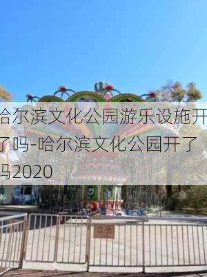 哈尔滨文化公园游乐设施开了吗-哈尔滨文化公园开了吗2020